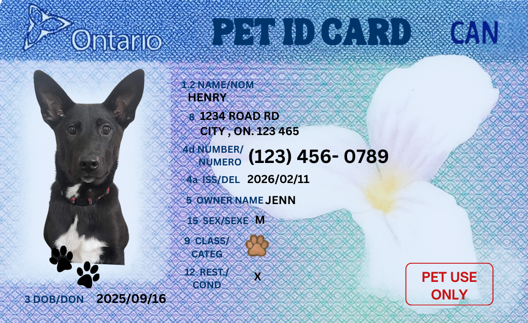 Personalized Pet ID Tag