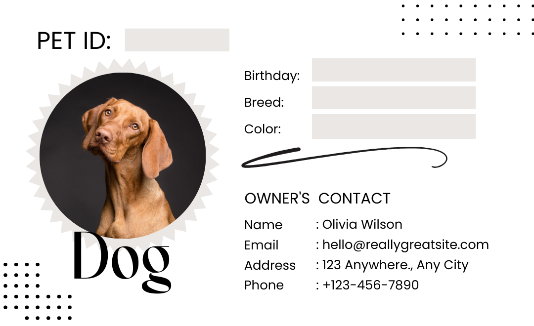 Personalized Pet ID Tag