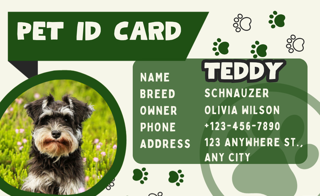Personalized Pet ID Tag