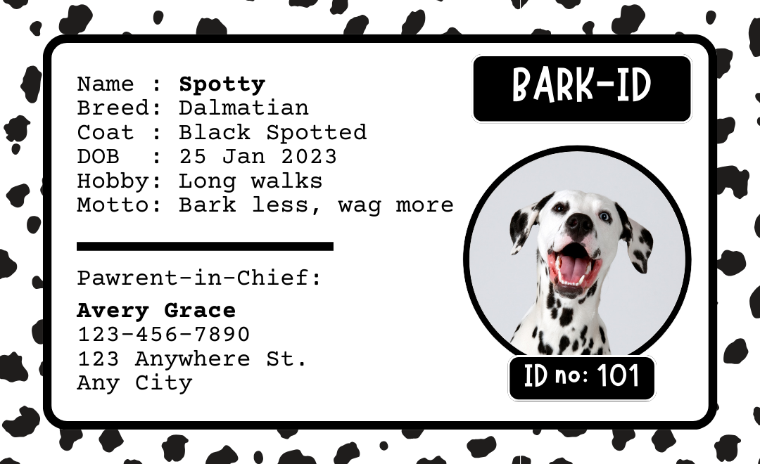 Personalized Pet ID Tag