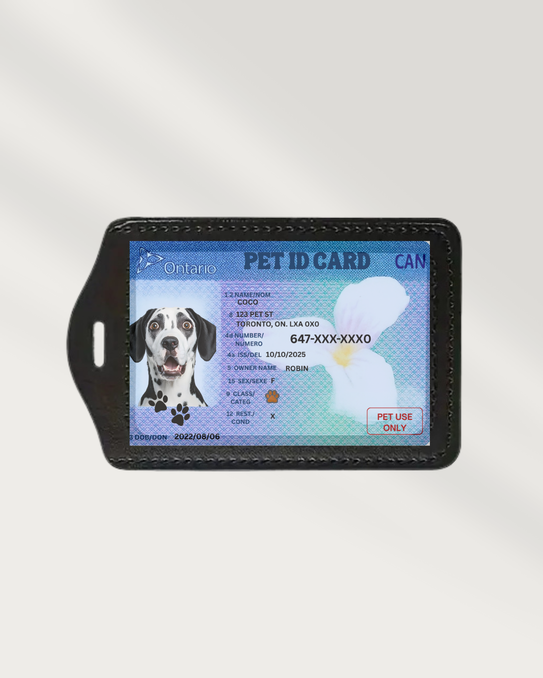 Personalized Pet ID Tag