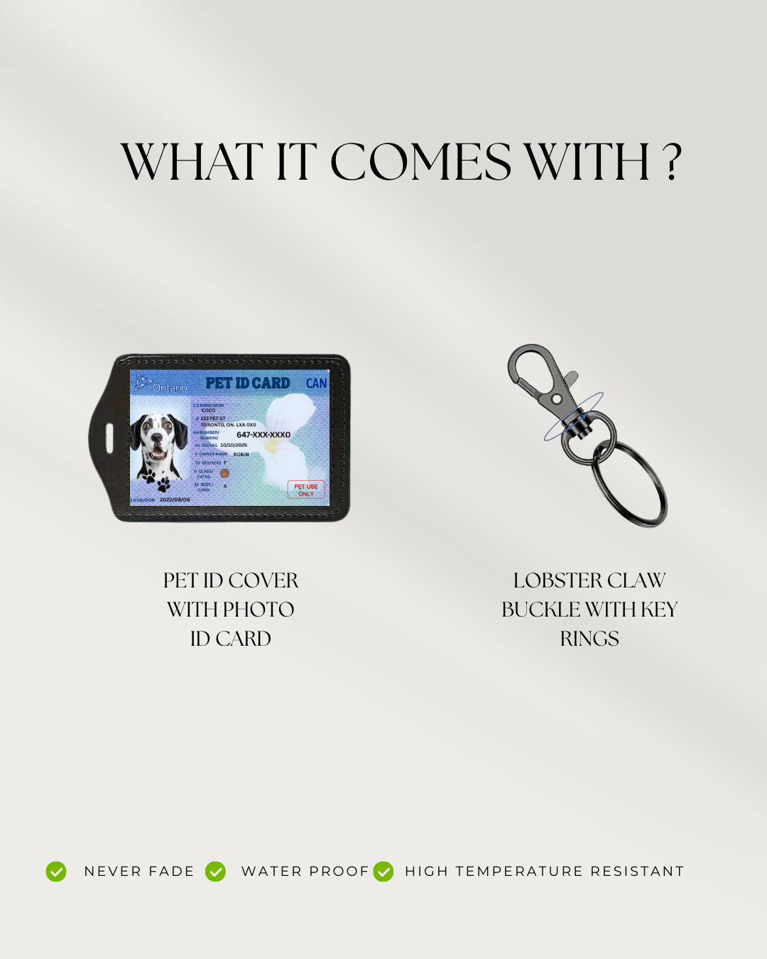 Personalized Pet ID Tag